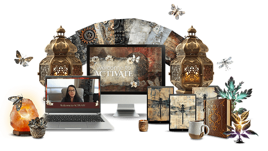 ACTIVATE Mockup Scenes 4. Transparent Background